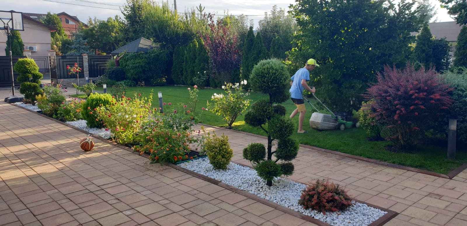 Grădină urbană cu gazon și plante decorative